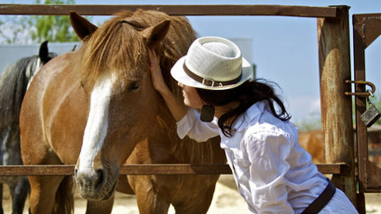 Kommunikation mit Pferden