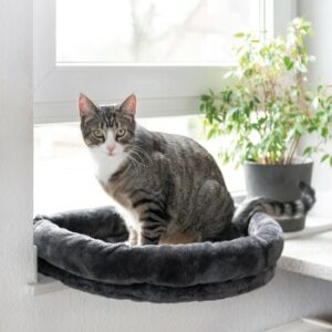 Canadian Cat Company Fensterliege Loveseat