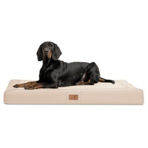 Tierlando ® OSCAR VISCO Orthopädische Hundematratze Kunstleder Velours Hundebett creme 1 m, 11 cm, 80 cm