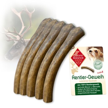 ChronoBalance Rentier Geweih Snack 5xM, 5x