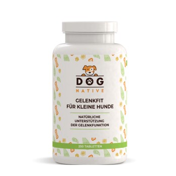 Dog-Native GelenkFit Tabletten für kleine Hunde, natürliches Gelenk Fit mit Grünlippmuschel, MSM, Kollagen & Chondroitin für Gelenke & Knochen, 250 Gelenktabletten
