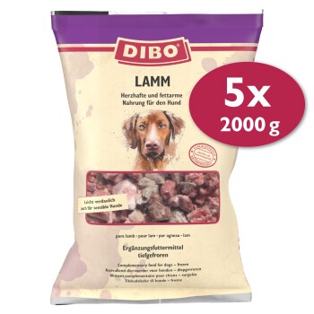 DIBO Frostfutter Lamm 5x2 kg