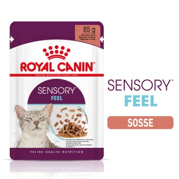 ROYAL CANIN Sensory Feel in Soße für wählerische Katzen 48x85 g