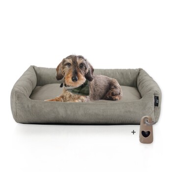 Rohrschneider Hundebett mit Gratis-Beigabe, waschbar, robuster Fein-Cordstoff taupe