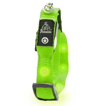 Petsation leuchtendes Katzenhalsband grün