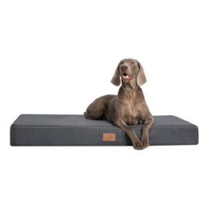 Tierlando ® HUGO BASIC Hundematratze schwarz/ graphit 1,2 m, 13 cm, 90 cm