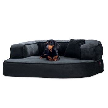Tierlando ® SHARLEEN VISCO PLUS - Orthopädisches Hundesofa mit kuscheligem Teddystoff anthrazit 80 cm, 30 cm, 60 cm