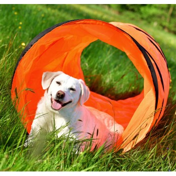 PfotenWunder® XXL-Profi-Agility 3-Meter-Tunnel
