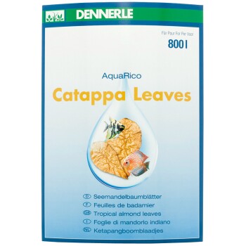 DENNERLE Catappa Leaves 10Stück