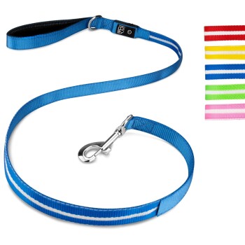 Petsation Hundeleine Leuchtend blau