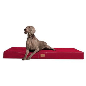 Tierlando ® HUGO BASIC Hundematratze dunkelrot 1,2 m, 13 cm, 90 cm