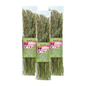 MultiFit Haferrispen 3x120 g