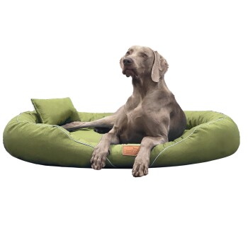 Tierlando TIFFANY Couture - Orthopädisches Hundebett hellgrün 1,15 m, 20 cm, 90 cm