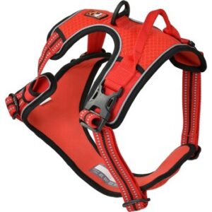 Dogs Creek Geschirr Pathfinder rot M