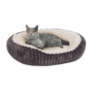 Wallace & Jones Katzenbett Cameron