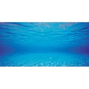 JUWEL Aquarienrückwand Unterwasserwelt L
