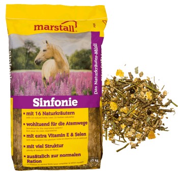 marstall Sinfonie