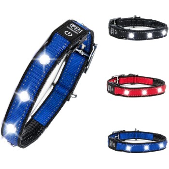 Petsation Leuchthalsband Hundehalsband blau M