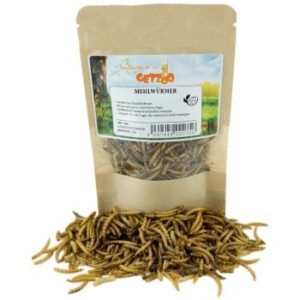 Getzoo Mehlwürmer 25g