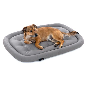 Doctor Bark Pointer Hundekissen hellgrau XL
