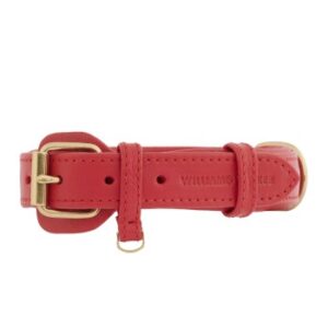 William Walker Hundehalsband Plain Chili S