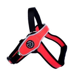 Tre Ponti Geschirr Primo Classic rot L