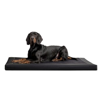 Tierlando CARLOS Velours-Kunstleder Hundematratze schwarz 80 cm, 6 cm, 60 cm