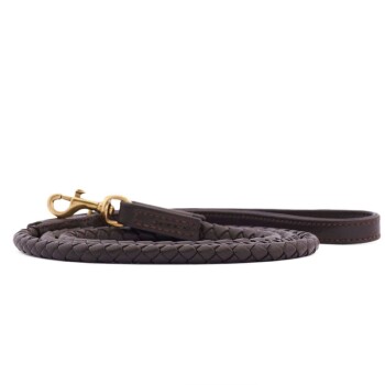 William Walker City Hundeleine Twisted Earth S-L
