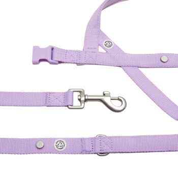 Barkalot Hundegeschirr-Spazierset flieder L