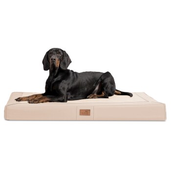 Tierlando ® OSCAR VISCO Orthopädische Hundematratze Kunstleder Velours Hundebett creme 1,2 m, 11 cm, 90 cm