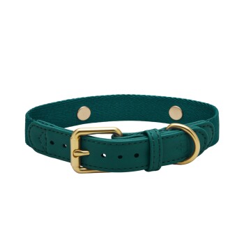 Barkalot Hundehalsband Veganes Leder grün XS