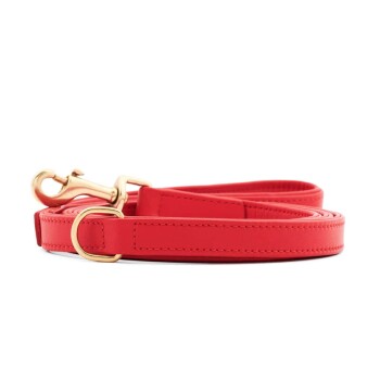 William Walker City Hundeleine Chili S-L