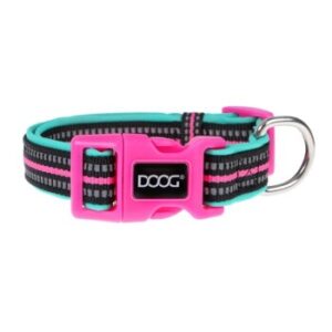 DOOG Neoprene Dog Collar RIN TIN TIN (Neon) L