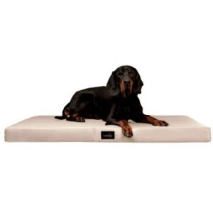 Tierlando ® Orthopädische Hundematratze ALICE EASY CLEAN Kunstleder Hundebett creme 1,2 m, 9 cm, 90 cm