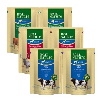 REAL NATURE Adult Pouches Mixpaket 6x300 g