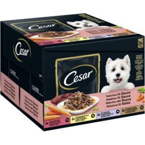 Cesar Feines im Frischebeutel in Sauce Multipack 24x100g