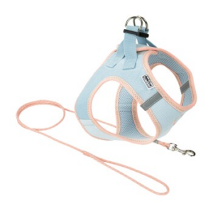 AniOne Pepe&Kitty Welpenset blau & apricot S