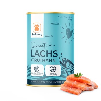 German Shephy Balloony Nassfutter Lachs