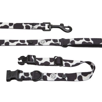 Barkalot Hundehalsband-Auslaufset weiß/ schwarz S