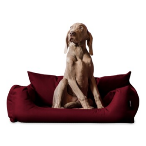 Tierlando NEMO Hundebett Hundesofa S M L Hundekorb Katzenbett 65 80 100cm bordeaux 1 m, 25 cm, 80 cm