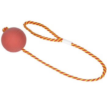 FIT+FUN Ball am Seil