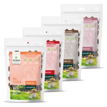 BALDUiN Mix Paket 1 Snacks Huhn, Pute, Rind, Lamm