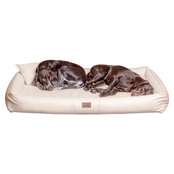 Tierlando ® CLIFFORD LATEX Orthopädische Hundematratze creme 1 m, 16 cm, 75 cm