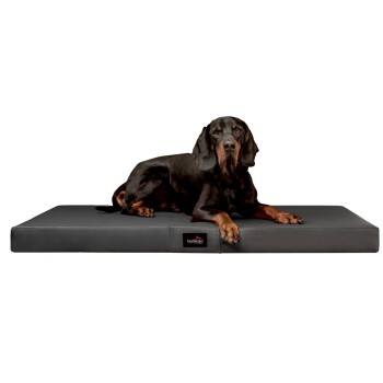 Tierlando ® Orthopädische Hundematratze ALICE EASY CLEAN Kunstleder Hundebett schwarz/ graphit 1 m, 9 cm, 80 cm