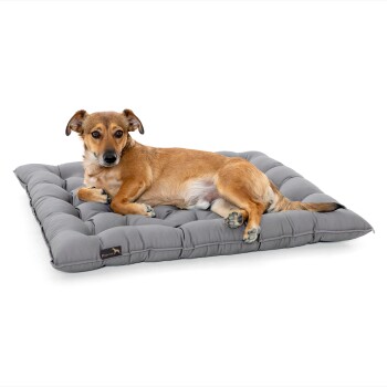 Doctor Bark Pointer Urban Kissen hellgrau L