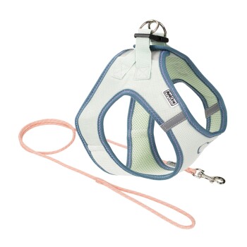 AniOne Pepe&Kitty Welpenset grün & apricot S