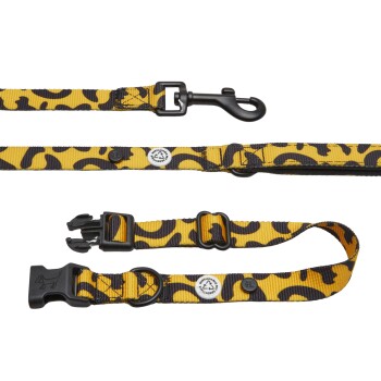 Barkalot Hundehalsband-Auslaufset orange/ schwarz M