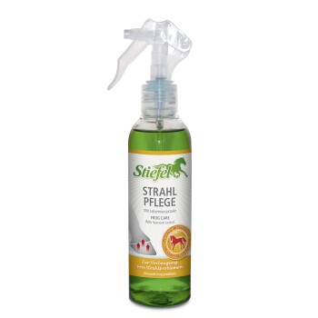 Stiefel Strahl Pflege 200 ml