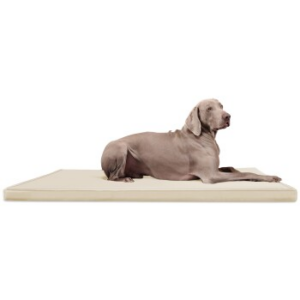 Tierlando CARLOS Ortho-Medic - Orthopädische Hundematte creme 1,2 m, 6 cm, 90 cm